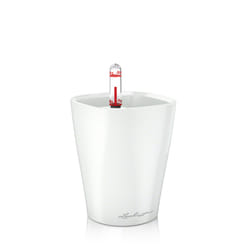 LECHUZA MINI-DELTINI Interno Vaso a cubo Libera installazione Polipropilene (PP) Bianco