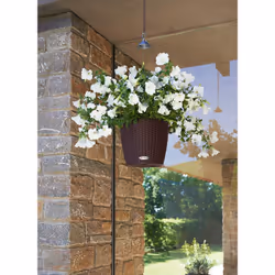 LECHUZA NIDO Cottage All-in-One Set Interno/esterno Vaso a cesto Da appendere Polipropilene (PP) Bianco - Vista aggiuntiva 7