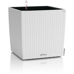 LECHUZA CUBE Cottage 30 All-in-One Set Interno/esterno Vaso a cubo Libera installazione Polipropilene (PP) Bianco
