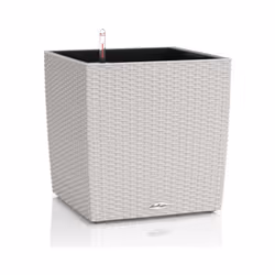 Un cubo versatile, che valorizza piante rigogliose di media dimensione o piccoli arbusti. Disponibile in 3 diversi formati e ...
