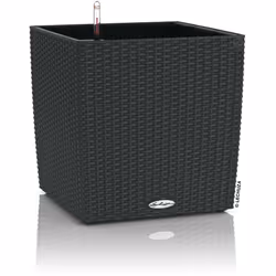 Un cubo versatile, che valorizza piante rigogliose di media dimensione o piccoli arbusti. Disponibile in 3 diversi formati e  ...