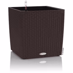 Un cubo versatile, che valorizza piante rigogliose di media dimensione o piccoli arbusti. Disponibile in 3 diversi formati e  ...