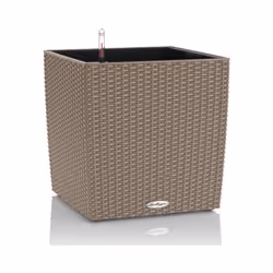 Un cubo versatile, che valorizza piante rigogliose di media dimensione o piccoli arbusti. Disponibile in 3 diversi formati e ...