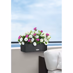 LECHUZA BALCONERA Cottage 50 Esterno Fioriera Montabile a parete Polipropilene (PP) Grigio - Vista aggiuntiva 5