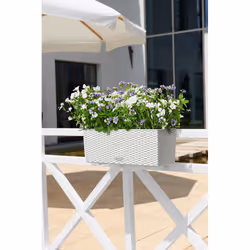 LECHUZA BALCONERA Cottage 50 Esterno Fioriera Montabile a parete Polipropilene (PP) Grigio - Vista aggiuntiva 6