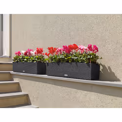 LECHUZA BALCONERA Cottage 80 Esterno Fioriera Montabile a parete Polipropilene (PP) Grigio - Vista aggiuntiva 5