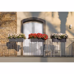 LECHUZA BALCONERA Cottage 80 Esterno Fioriera Montabile a parete Polipropilene (PP) Grigio - Vista aggiuntiva 6