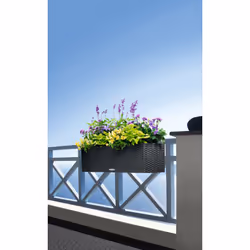 LECHUZA BALCONERA Cottage 80 Esterno Fioriera Montabile a parete Polipropilene (PP) Grigio - Vista aggiuntiva 7