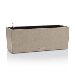 LECHUZA BALCONERA Interno/esterno Vaso a cubo Libera installazione Polipropilene (PP) Beige