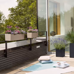 LECHUZA BALCONERA Interno/esterno Vaso a cubo Libera installazione Polipropilene (PP) Beige