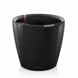 LECHUZA Classico LS 21, Vaso a cubo, Libera installazione, Polipropilene (PP), Nero, Rotondo, Interno