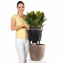 LECHUZA Classico LS 21 Interno Vaso a cubo Libera installazione Polipropilene (PP) Nero