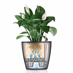 LECHUZA Classico LS 21 Interno Vaso a cubo Libera installazione Polipropilene (PP) Nero - Vista aggiuntiva 7