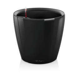 Lechuza - Vaso da interno e esterno classico Premium ls 35 cm - Nero Lucido - Nero Lucido