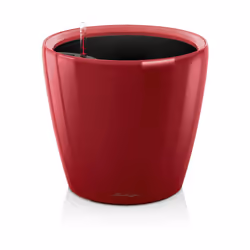 Finiture di pregio per questo il nostro vaso Classico per eccellenza. Disponibile in varie dimensioni e ben 7 varianti di col ...