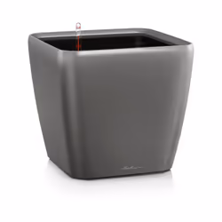 LECHUZA Quadro LS 21, Vaso a cubo, Libera installazione, Polipropilene (PP), Antracite, Metallico, Rettangolo, Interno