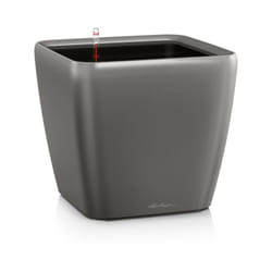 LECHUZA Quadro LS 21 Interno Vaso a cubo Libera installazione Polipropilene (PP) Antracite, Metallico