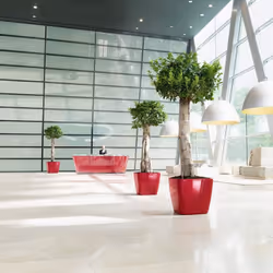 LECHUZA QUADRO LS 50 Interno Vaso a cubo Libera installazione Plastica Antracite - Vista aggiuntiva 6