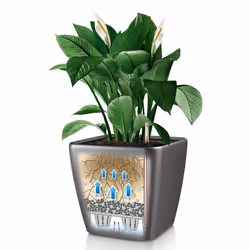 LECHUZA QUADRO LS 50 Interno Vaso a cubo Libera installazione Plastica Antracite - Vista aggiuntiva 7