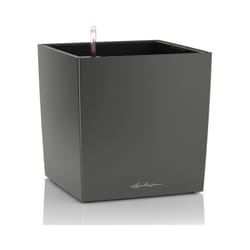 LECHUZA CUBE 50 Interno Vaso a cubo Libera installazione Polipropilene (PP) Antracite