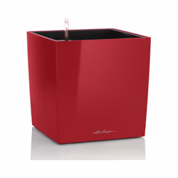 LECHUZA CUBE 50, Vaso a cubo, Libera installazione, Polipropilene (PP), Rosso, Interno, Nero