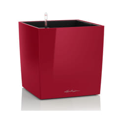 LECHUZA CUBE 50 Interno Vaso a cubo Libera installazione Polipropilene (PP) Rosso