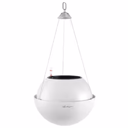 LECHUZA BOLA Color 32, Bianco, Plastica, 32 cm, 250 mm, 1 kg, 1 pz
