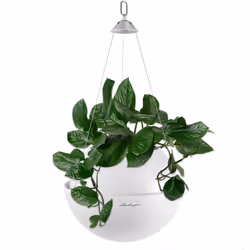 LECHUZA BOLA Color 32 Bianco Plastica 1 pz