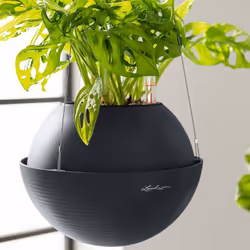 LECHUZA BOLA Color 32 Bianco Plastica 1 pz - Vista aggiuntiva 6