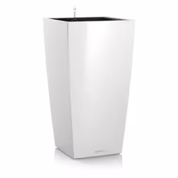 Da solo o combinato ad altri vasi, in casa o nella hall di un ufficio... CUBICO Premium è versatile, arricchisce con gusto qu ...
