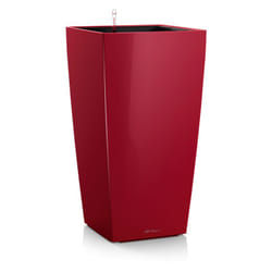 LECHUZA Cubico 30 Interno Vaso a cubo Libera installazione Polipropilene (PP) Rosso