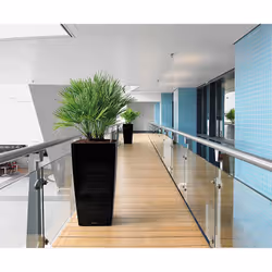 LECHUZA CUBICO 40 All-in-One Set Interno Vaso a cubo Libera installazione Polipropilene (PP) Bianco - Vista aggiuntiva 4