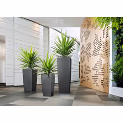 LECHUZA CUBICO 40 All-in-One Set Interno Vaso a cubo Libera installazione Polipropilene (PP) Bianco - Vista aggiuntiva 5