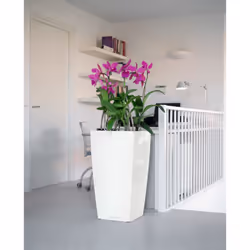 LECHUZA CUBICO 40 All-in-One Set Interno Vaso a cubo Libera installazione Polipropilene (PP) Bianco - Vista aggiuntiva 6