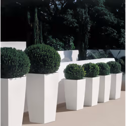 LECHUZA CUBICO 40 All-in-One Set Interno Vaso a cubo Libera installazione Polipropilene (PP) Bianco - Vista aggiuntiva 8