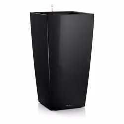 Da solo o combinato ad altri vasi, in casa o nella hall di un ufficio... CUBICO Premium è versatile, arricchisce con gusto qu ...