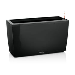 Lechuza - Vaso da interno cararo Premium 75 cm - Nero Lucido - Nero Lucido