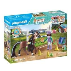 Playmobil 71355 set da gioco