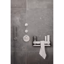 Blomus 68941 cesto e contenitore da doccia Plastica, Acciaio inox Montabile a parete Cestino per doccia - Vista aggiuntiva 4