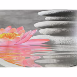 Il sedile del water di alta qualità Water Lily, realizzato in termoplastica, ha un coperchio di forma ovale classica. Non off ...