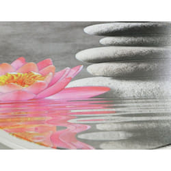 Wenko - Copriwater Originale Water Lily, Copriwater con freno di caduta, sganciabile, fissaggio in acciaio inox, Termoplastico, 36,5x45 cm,