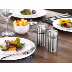 ZWILLING 39500-025-0 macina sale e pepe Set macina sale e pepe Acciaio inox