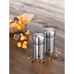 ZWILLING 39500-025-0 macina sale e pepe Set macina sale e pepe Acciaio inox
