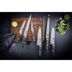 ZWILLING 30571-141-0 coltello da cucina Acciaio 1 pz Coltello da cuoco - Vista aggiuntiva 8