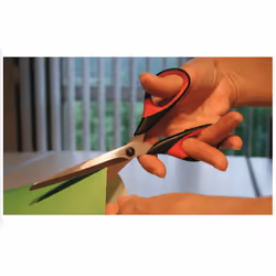 BESSEY D821-160 forbici da cancelleria Universale Taglio a zig zag Nero, Rosso