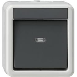GIRA 010230 interruttore elettrico Nero, Grigio