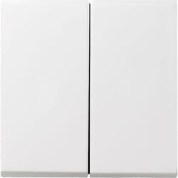 GIRA 029527 accessorio per interruttore elettrico
