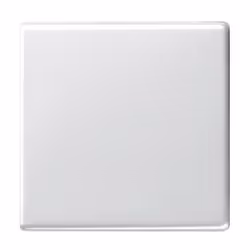 GIRA 029603, Bianco, IP44