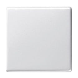 GIRA 029603 accessorio per interruttore elettrico