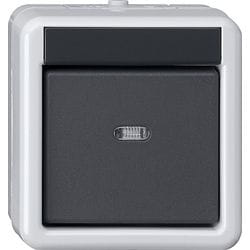 GIRA 515230 interruttore elettrico Nero, Grigio